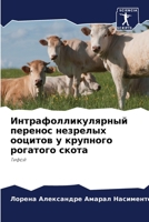 Интрафолликулярный перенос незрелых ооц& 6206014592 Book Cover