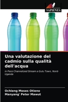 Una valutazione del cadmio sulla qualità dell'acqua: in Pece Channelized Stream a Gulu Town, Nord-Uganda 6203520802 Book Cover
