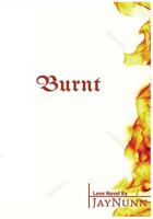 Burnt 1545015546 Book Cover
