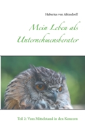 Mein Leben als Unternehmensberater: Teil 2: Vom Mittelstand in den Konzern (German Edition) 3751977155 Book Cover