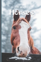 Picture Book Of Horses: Large Print Book For Seniors with Dementia or Alzheimer's B08D4Y51Z4 Book Cover