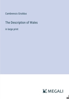 The Description of Wales: in large print 3387007744 Book Cover