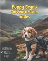 Puppy Bryn - Adventures in Wales B0CLSB8Y2P Book Cover