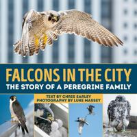 Falcons in the City: The Story of a Peregine Family 1770858032 Book Cover