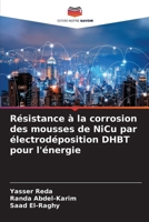 Résistance à la corrosion des mousses de NiCu par électrodéposition DHBT pour l'énergie (French Edition) 6204496395 Book Cover