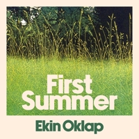 First Summer 1668161273 Book Cover