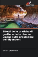 Effetti delle pratiche di gestione delle risorse umane sulle prestazioni dei dipendenti (Italian Edition) 6208086736 Book Cover