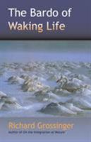 The Bardo of Waking Life 1556437005 Book Cover