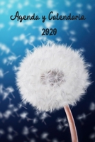 Agenda y Calendario 2020: Organizacion Semanal y mensual Enero-Diciembre 1672880858 Book Cover