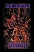 Preceeding Daybreak: Parables IV B0B5KXGRL2 Book Cover