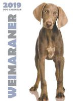 Weimaraner 2019 Dog Calendar 1791990231 Book Cover