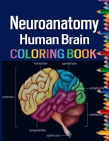 Neuroanatomy Human Brain Coloring Book: Colorful introduction to the anatomy of the human brain model for neuroscience B0CS3SS237 Book Cover