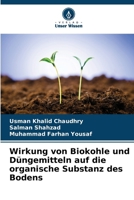 Wirkung von Biokohle und Düngemitteln auf die organische Substanz des Bodens (German Edition) 6207576462 Book Cover