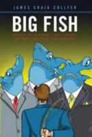 Big Fish: Secrets to Hooking and Landing the Best Clients in Any Industry 153061726X Book Cover