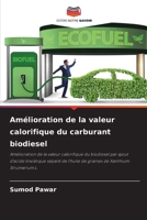 Amélioration de la valeur calorifique du carburant biodiesel (French Edition) 6207980581 Book Cover