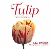Tulip: 70 Stunning Varieties of the World's Favorite Flower 0312310552 Book Cover
