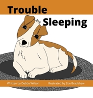 Trouble Sleeping 0645485624 Book Cover