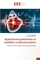 Hyperhomocystéinémie et maladies cardiovasculaires: Chez le rat des sables Psammomys obesus (French Edition) 6206711900 Book Cover
