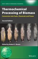 Thermochemical Processing of Biomass: Conversion into Fuels, Chemicals and Power 1119417570 Book Cover