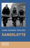 Sandslotte 8711939893 Book Cover