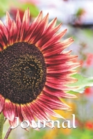 Journal 1672872685 Book Cover