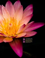 In Everything Give Thanks - Jumbo Undated Ruled Pages Notebook/Planner/Folio Agenda Book to Plan Ahead  Blank Keepsake Gratitude Journal  with Three Year Calendar 550 Pages XL 8.5 x 11 - 2020 165322956X Book Cover