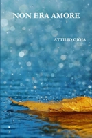 Non Era Amore 1329754409 Book Cover