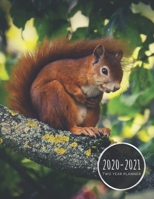 Two Year Planner 2020-2021: Squirrel Planner January 1, 2020 to December 31, 2021 Weekly & Monthly Planner + Calendar Views Animal 2 Year Calendar 24 Month Agenda Planner Gift For Squirrel Lovers 1672113555 Book Cover