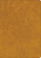 CSB Lumen Dei Bible, Lux Gloriae: Single-Column Wide-Margin Edition, Holman Handcrafted Collection, Easy-To-Read Optimal Type, Tuscany Premium Calfski B0GZ9K3KQG Book Cover
