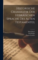 Historische Grammatik Der Hebraischen Sprache Des Alten Testamentes; 1015743390 Book Cover