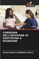 Consegna Dell'infusione Di Ossitocina a Kisangani (Italian Edition) 6208546583 Book Cover