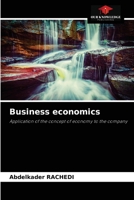 Business economics: Application of the concept of economy to the company 6204081160 Book Cover