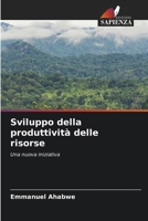 Sviluppo della produttività delle risorse (Italian Edition) 6208143543 Book Cover