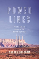 Power Lines 0691173540 Book Cover