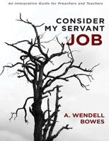 Consider My Servant Job: An Interpretive Guide for Preachers and Teachers 0834140004 Book Cover