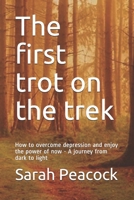 The first trot on the trek: How to overcome depression and enjoy the power of now - A journey from dark to light B084NYPSGS Book Cover
