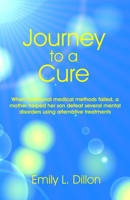 Journey To A Cure: When Traditional Medical Methods Failed, A Mother Helped Her Son Defeat Several Mental Disorders Using Alternative Treatments 197936771X Book Cover