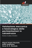 Valutazione meccanica e tossicologica delle pavimentazioni in calcestruzzo (Italian Edition) 6209377599 Book Cover