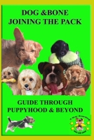 Dog & Bone Joining the Pack ( guide through puppyhood and beyond ): dog training guide B0F6TXF8V7 Book Cover