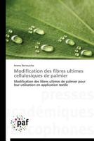 Modification des fibres ultimes cellulosiques de palmier: Modification des fibres ultimes de palmier pour leur utilisation en application textile (Omn.Pres.Franc.) 3838140079 Book Cover
