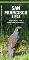 San Francisco Birds: An Introduction to Familiar Bay Area Species 1583551654 Book Cover