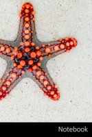 Notebook: Seestern, Meer, Rot, Tier Notizbuch / pers�nliches Tagebuch / Schreibheft / Logbuch / Planer / Vokabelheft / Notizen - 6 x 9 Zoll (15,24 x 22,86 cm, ca. DIN A5), 110 linierte Seiten mit Datu 1706136706 Book Cover