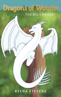 Dragons of Wonder: The Big Change 164543138X Book Cover