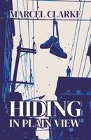 Hiding in Plain View B0DQ2P4DQ4 Book Cover