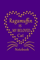 Ragamuffin Is My Beloved Cat Notebook: Cat Lovers journal Diary,Perfect Gift For Ragamuffin Cat Lovers. B083XTGL9F Book Cover