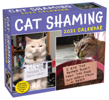 Cat Shaming 2021 Day-to-Day Calendar 1524856983 Book Cover