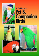 A Guide to Pet & Companion Birds 0958726612 Book Cover