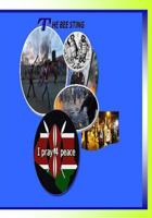 THE BEE STING: in the midst of turmoil 1731371462 Book Cover