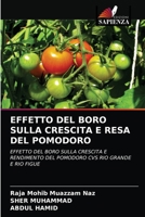 EFFETTO DEL BORO SULLA CRESCITA E RESA DEL POMODORO: EFFETTO DEL BORO SULLA CRESCITA E RENDIMENTO DEL POMODORO CVS RIO GRANDE E RIO FIGUE 6202838809 Book Cover