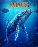 Whales: Fun Facts Book for Kids with Amazing Photos B0C6P6H58Q Book Cover